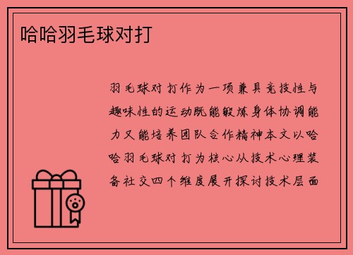 哈哈羽毛球对打